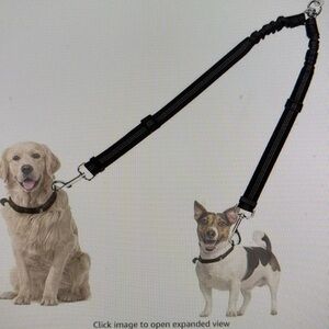 Double Dog Leash